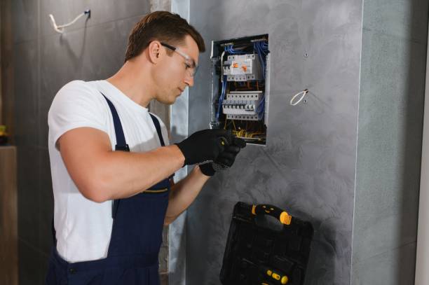 Best Electric Panel Repair  in Roanoke Rapids, NC